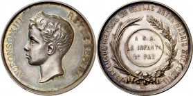 1897. Alfonso XIII. Madrid. Exposición Nacional de Bellas Artes. Medalla. (V. 571 sim). Grabador: B. Maura. Leves rayitas. Bella. Plata. 66 g. Ø50 mm....