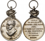 1897. Alfonso XIII. La Legión Patriótica, en la muerte de Cánovas. Medalla. Grabador: B.C. Paris. Escasa. Metal blanco. 13,54 g. Medalla oval. 29x45 m...