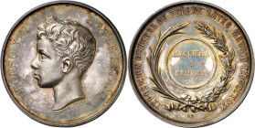 1899. Alfonso XIII. Madrid. Exposición General de Bellas Artes. Medalla. (V. 582-583 sim). Grabador: B. Maura. Golpecito en canto. Bella. Preciosa pát...