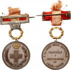 1899. Alfonso XIII. La Cruz Roja Española, campañas y repatriación. Distinción al personal de la Cruz Roja que intervino en las guerras de Cuba y Fili...