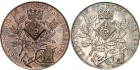 1902. Alfonso XIII. Zaragoza. Pequeñas Industrias. Conjunto de 2 medallas en distintos metales. Grabador: A.T. en monograma. Bellas. Plata (115,45 g) ...