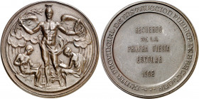 1908. Alfonso XIII. Barcelona. Recuerdo de la Primera Fiesta Escolar. Medalla. (Cru.Medalles 1044) (Ruiz Trapero 1249) (V. 643). Grabador: J. Solá y C...