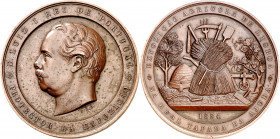 Portugal. 1884. Luis I. Exposición Agrícola de Lisboa. Medalla. Grabador: F. A. de Campos. Manchitas. Bronce. 103,71 g. Ø59 mm. MBC+.
