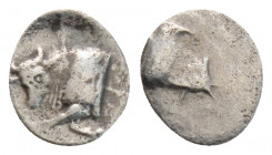 Greek
KARIA, uncertain mint (Circa 5th century BC) 
AR Tetartemorion (7mm, 0.2g)
Obv: Forepart of bull to left.
Rev: Forepart of bull to right. 
SNG K...