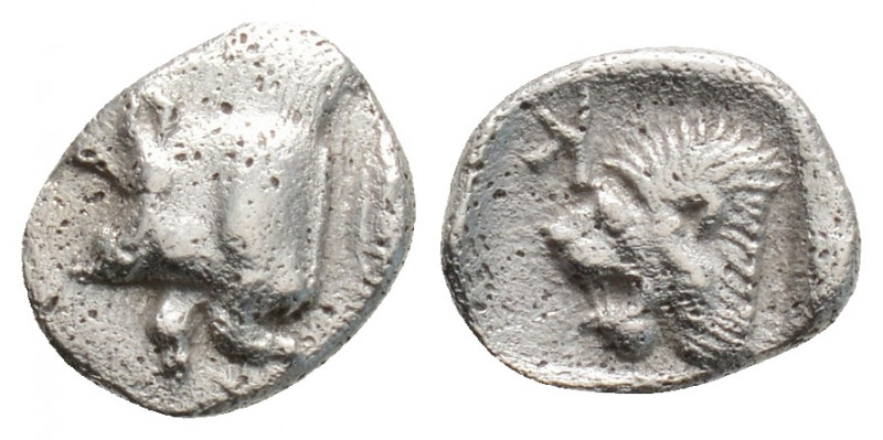 Greek
MYSIA, Kyzikos (Circa 480-475 BC)
AR Hemiobol (8.6mm, 0.4g)
Obv: Forepart ...