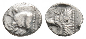 Greek
MYSIA, Kyzikos (Circa 450-400 BC)
AR Hemiobol (7.3mm, 0.3g)
Obv: Forepart of boar to left, tunny fish behind.
Rev: Head of roaring lion to left ...