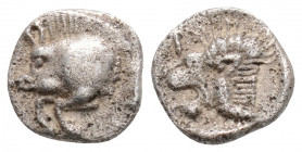 Greek
MYSIA, Kyzikos (Circa 450-400 BC)
AR Obol (9.3mm, 0.7g)
Obv: Forepart of boar left; tunny to right. 
Rev: Head of roaring lion left; retrograde ...