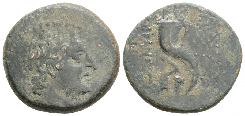 Greek
SELEUKID KINGS of SYRIA, Antiochos VIII Grypos (Circa 121-98/6 BC)
AE Bron...