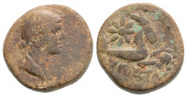 Roman Provincial
CILICIA, Augusta, Livia (14-29 AD)
AE Bronze (16.3mm, 4.3g)
Obv: Draped bust right.
Rev: AYΓOYΣTANΩN. Capricorn right, with globus be...