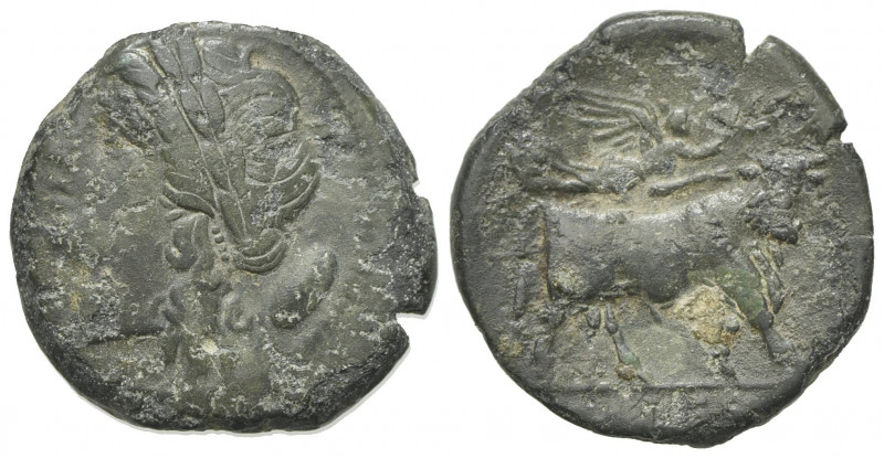 Northern Campania, Cales, c. 265-240 BC. Æ (19.5mm, 5.28g, 7h). Laureate head of...