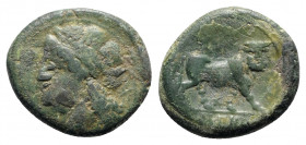 Northern Campania, Cales, c. 265-240 BC. Æ (22mm, 6.27g, 6h). Laureate head of Apollo l.; serpent behind. R/ Man-headed bull standing r., head facing;...