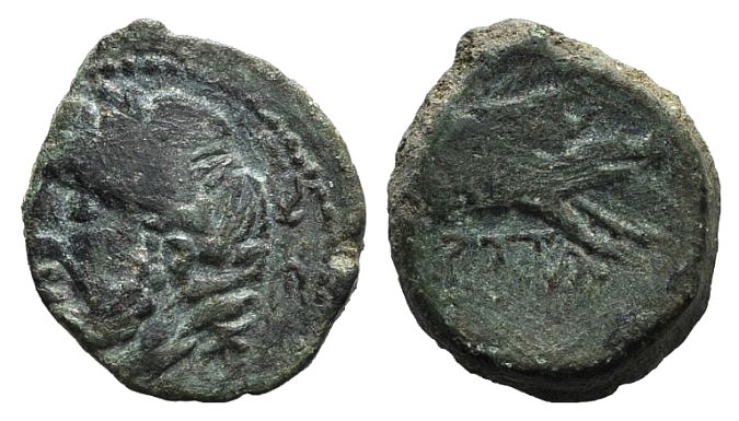 Northern Apulia, Arpi, c. 325-275 BC. Æ (15mm, 3.11g, 12h). Laureate head of Zeu...