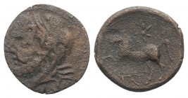 Northern Apulia, Arpi, c. 325-275 BC. Æ (15mm, 2.94g, 10h). Laureate head of Zeus l. R/ Horse rearing l.; star above, monogram below. HNItaly 644. VF