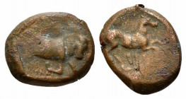Northern Apulia, Arpi, c. 275-250 BC. Æ (19mm, 7.81 g). Bull charging right; POULLI below / Horse galloping right. SNG ANS 644. Fine