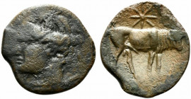 Carthaginian Domain, Sardinia, c. 216 BC. Æ (19.5mm, 4.23g, 9h). Wreathed head of Kore-Tanit l. R/ Bull standing r.; star above. Piras 186; cf. SNG Co...
