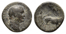 Pisidia, Antioch. Titus as Caesar (AD 69-79). Æ (19,85 mm, 7,87 g). Laureate head r. R/ Priest holding vexillum and plowing with yoked oxen r.; above,...