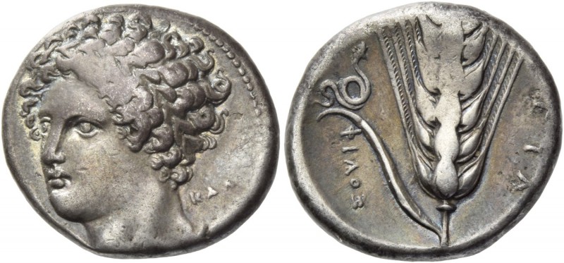 Lucania, Metapontum. Nomos circa 340-330, AR 7.76 g. Laureate head of Apollo, fa...