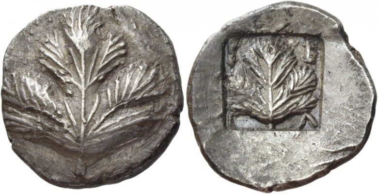 Selinus. Didrachm circa 500-480, AR 8.32 g. Selinon leaf. Rev. Σ – Ε / [I] – Λ S...