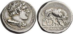 Didrachm, Neapolis (?) after 276, AR 7.11 g. Head of Hercules r., hair bound with ribbon, with club and lion’s skin over shoulder. Rev. She-wolf r., s...