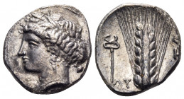 LUCANIA. Metapontion. Circa 340-330 BC. Nomos (Silver, 20 mm, 7.63 g, 5 h), struck under the magistrate Ly... Wreathed head of Demeter to left, wearin...
