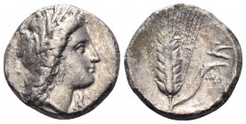 LUCANIA. Metapontion. Circa 330-290 BC. Nomos (Silver, 20 mm, 7.68 g, 3 h), struck under the magistrates Dai... and Mach... Head of Demeter to right, ...