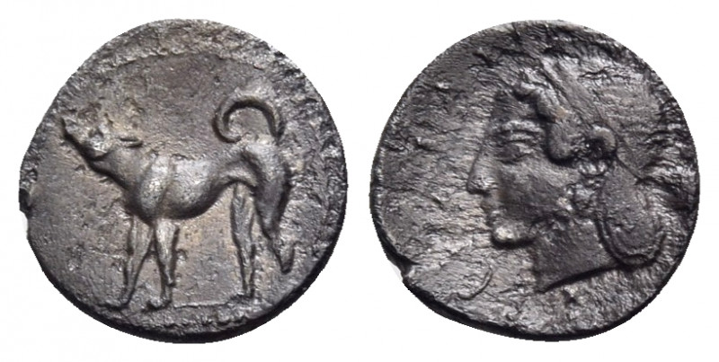 SICILY. Segesta. Circa 465-450 BC. Litra (Silver, 10.5 mm, 0.80 g, 6 h). Hound s...