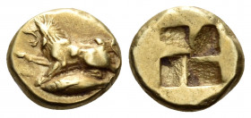 MYSIA. Kyzikos. Circa 480 BC. Hekte (Electrum, 11 mm, 2.72 g). Lion, with right forepaw raised and open jaws, seated left on tunny to left. Rev. Quadr...