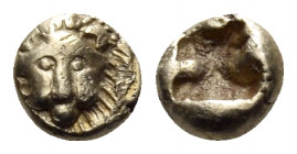 IONIA. Miletos. Circa 600-550 BC. 1/24 Stater (Electrum, 6 mm, 0.57 g). Facing lion's head. Rev. Incuse punch. Hilbert M 15 (A85/U25, same dies ). Kle...