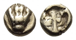 IONIA. Uncertain mint. 6th century BC. 1/24 Stater (Electrum, 5.5 mm, 0.61 g), Lydo-Milesian standard. Lion's paw seen from above. Rev. Facing lion he...