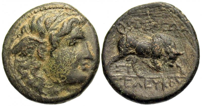 SELEUKID KINGS OF SYRIA. Seleukos I Nikator, 312-281 BC. (Bronze, 14 mm, 2.44 g,...