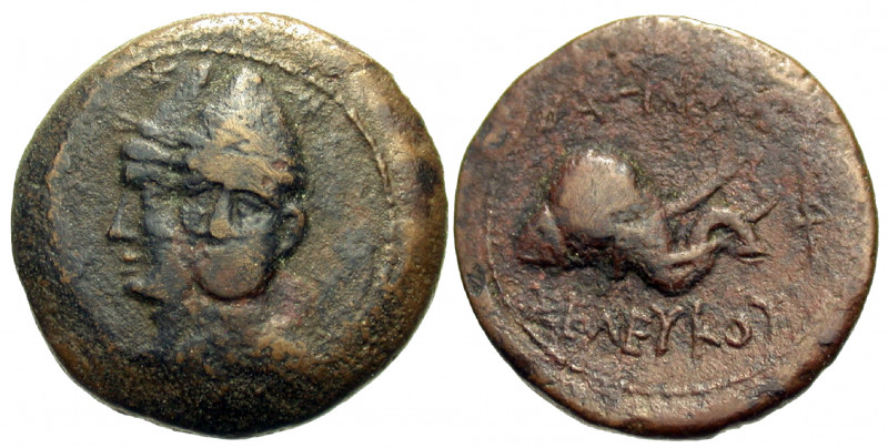 SELEUKID KINGS OF SYRIA. Seleukos II Kallinikos, 246-226 BC. (Bronze, 19 mm, 4.9...