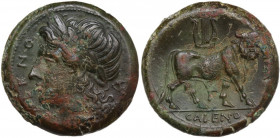 Greek Italy. Samnium, Southern Latium and Northern Campania, Cales. AE 20.5 mm, c. 265-240 BC. Obv. CALENO. Laureate head of Apollo left; behind, oino...