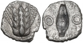 Greek Italy. Southern Lucania, Metapontum. AR Obol, c. 470-440 BC. Obv. Ear of barley with five grains. Rev. Incuse barley grain; flanked by annulets ...