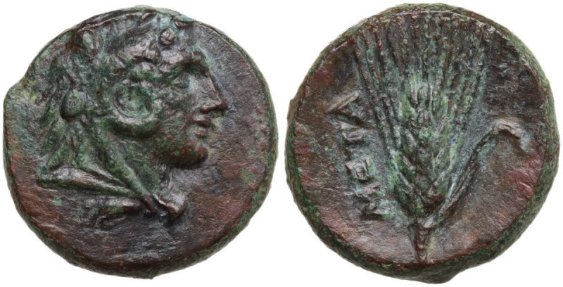 Greek Italy. Southern Lucania, Metapontum. AE 13 mm, c. 300-250 BC. Obv. Head of...