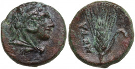 Greek Italy. Southern Lucania, Metapontum. AE 13 mm, c. 300-250 BC. Obv. Head of Herakles right, wearing lion skin. Rev. Barley-ear with leaf to right...