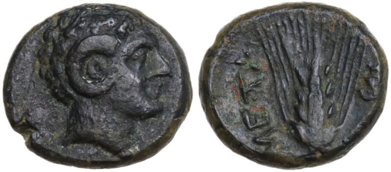 Greek Italy. Southern Lucania, Metapontum. AE 11 mm, c. 300-250 BC. Obv. Head of...