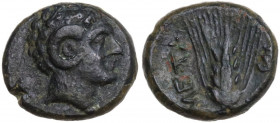 Greek Italy. Southern Lucania, Metapontum. AE 11 mm, c. 300-250 BC. Obv. Head of Apollo Karneios right. Rev. META. Grain ear with leaf to right; fly a...