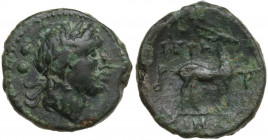 Greek Italy. Bruttium, Petelia. AE 14 mm, c. 204-200 BC. Obv. Laureate head of Apollo right; behind, two pellets. Rev. ΠΕΤ/ΛΙΝΩΝ. Stag standing right;...
