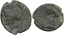 Anonymous. AE Half Unit, Neapolis, after 276 BC. Obv. Helmeted head of Minerva left. Rev. [ROMANO]. Bridled horse's head right; lo left, ROMANO upward...