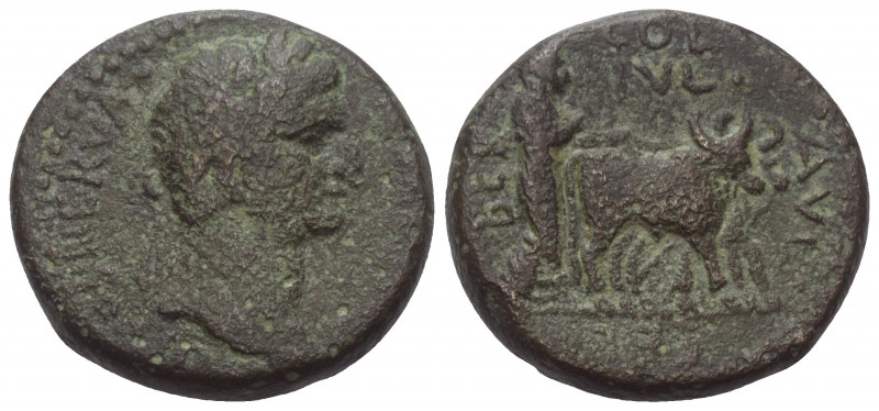 Phönikien. Berytos. Traianus (98 - 117 n. Chr.).

 Bronze.
Vs: DIVOS NERVA - ...