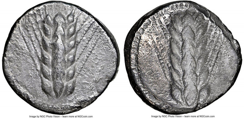 LUCANIA. Metapontum. Ca. 470-440 BC. AR stater (20mm, 7.35 gm, 6h). NGC (photo-c...