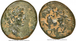 LYCIA. Termessus Minor. Tiberius (AD 14-37). AE (18mm, 4.65 gm, 12h). NGC Choice VF 5/5 - 3/5. Laureate head of Tiberius right / TEP, horse galloping ...