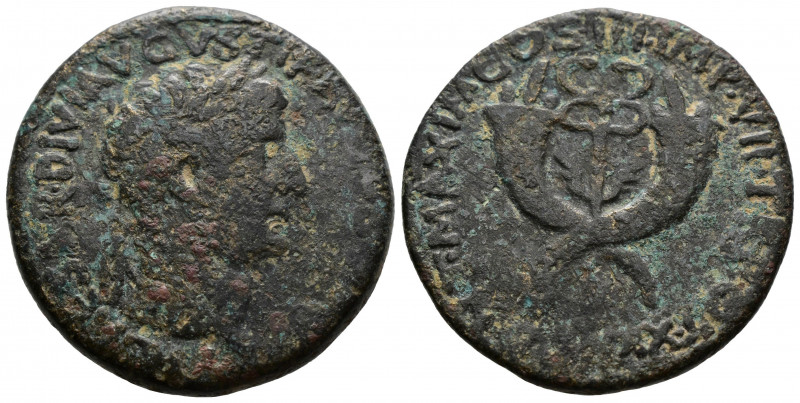 (Bronze, 14.88g 30mm) Commagene. Tiberius AD 14-37. Dupondius Ae. 
 laureate he...