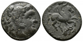 (Bronze.5.30g 20mm) Kings of Macedon. Kassander (316-297 BC). 
 Head of Herakles right/ Horseman right;