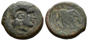 (Bronze.4.48g 17mm) TROAS, Alexandreia (Circa 261-227 BC)
Laureate head of Apollo right
Rev: horse grazing right