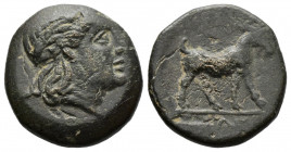 (Bronze.4.08g 17mm) Aeolis. Aigai circa 300-200 BC. Bronze 
 Head of Apollo right / goat standing right.