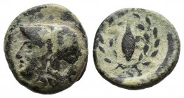 (Bronze.1.27g 12mm) Aeolis, Elaia Circa 340-300 BC. 
Helmeted head of Athena to left / Barley-grain, E-Λ across fields; all within laurel wreath.