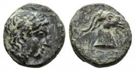 (Broze.1.08g 11mm) AEOLIS. Aigai. (Circa 4th-3rd centuries BC). Ae.
Laureate head of Apollo right.
Rev: Head of goat right.