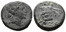 (Bronze.8.56g 21mm) Pontos, Amisos. 85-65. 
Dionysos right
Rev.Cista mystica with panther skin and thyrsos