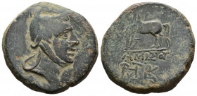 (Bronze.11.79g 23mm) PONTOS. Amisos. Ae (Circa 85-65 BC). Time of Mithradates VI Eupator.